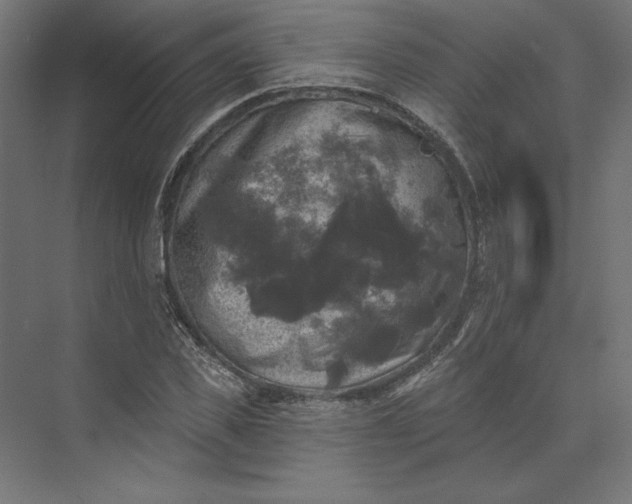 X0000074040925200609061204