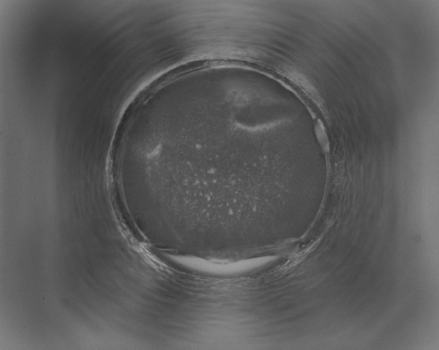 X0000074040928200609061204