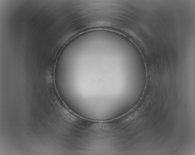 X0000074040929200609061204