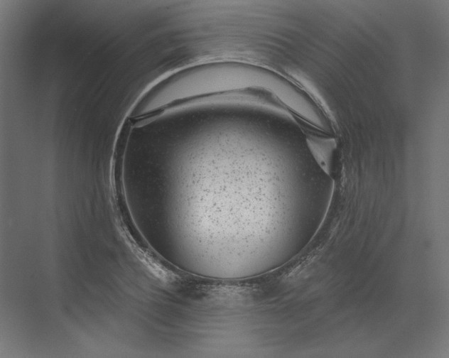 X0000074040932200609061204