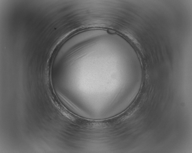 X0000074040933200609061204