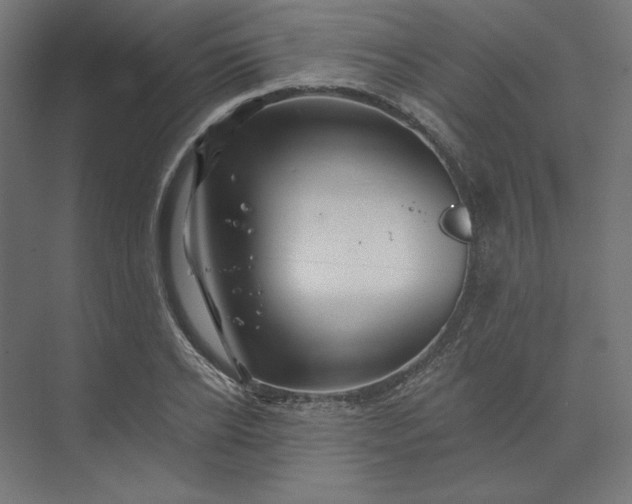 X0000074040934200609061204