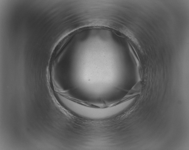 X0000074040936200609061204