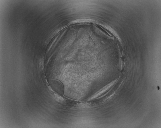 X0000074040937200609061204