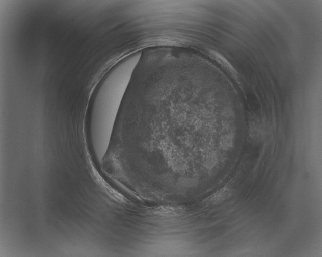 X0000074040938200609061204