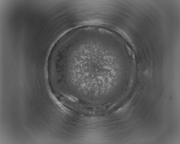 X0000074040939200609061204