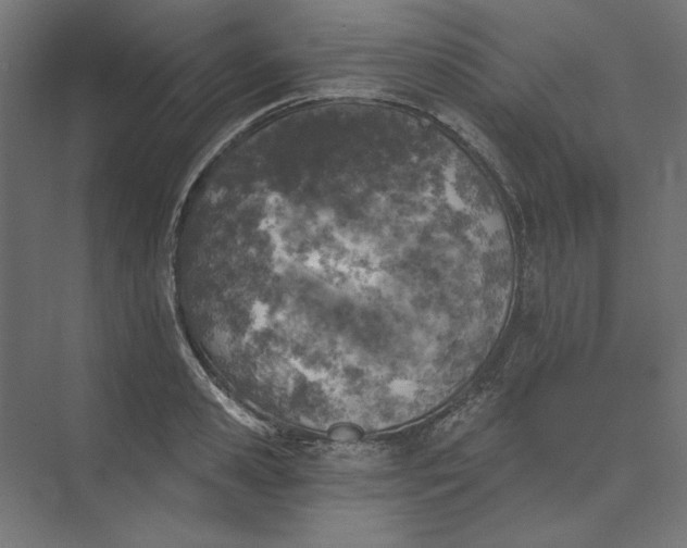 X0000074040941200609061204