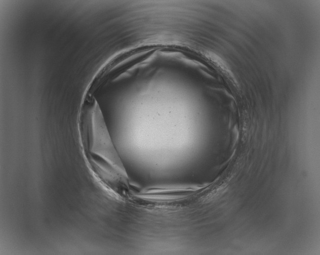 X0000074040942200609061204