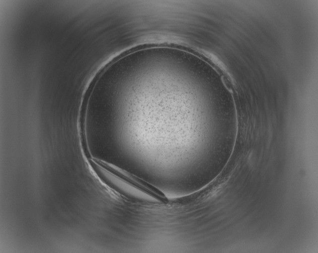 X0000074040943200609061204