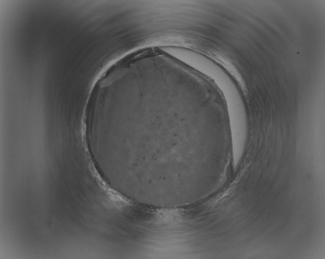 X0000074040944200609061204