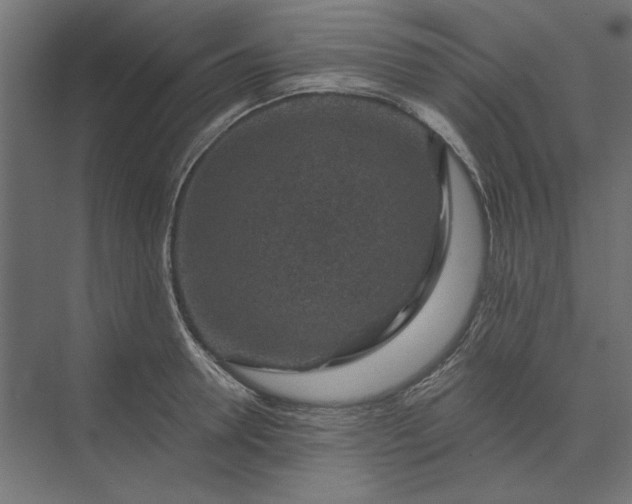 X0000074040946200609061204