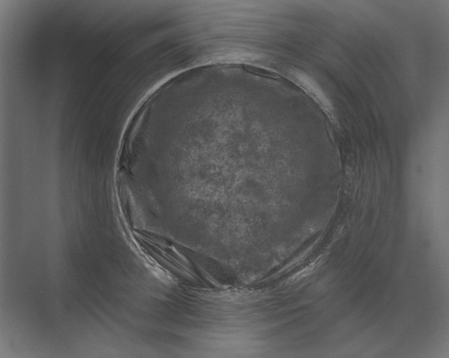 X0000074040948200609061204