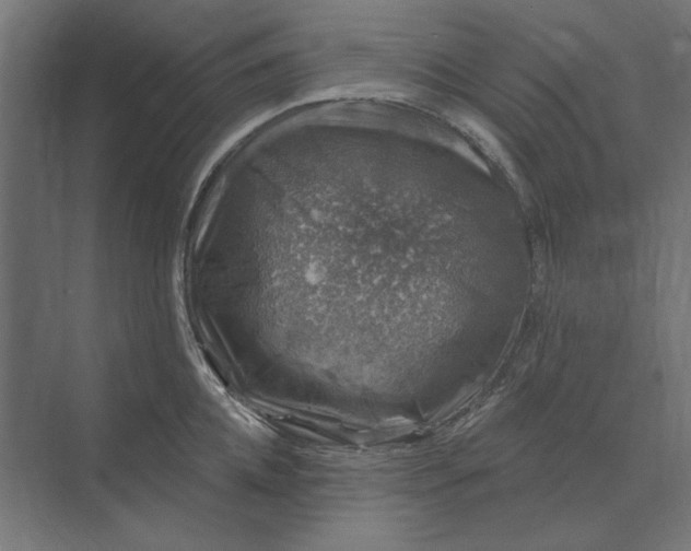 X0000074040952200609061204