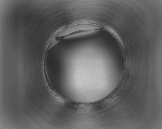 X0000074040954200609061204