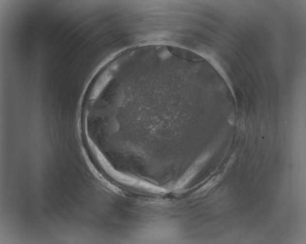 X0000074040957200609061204