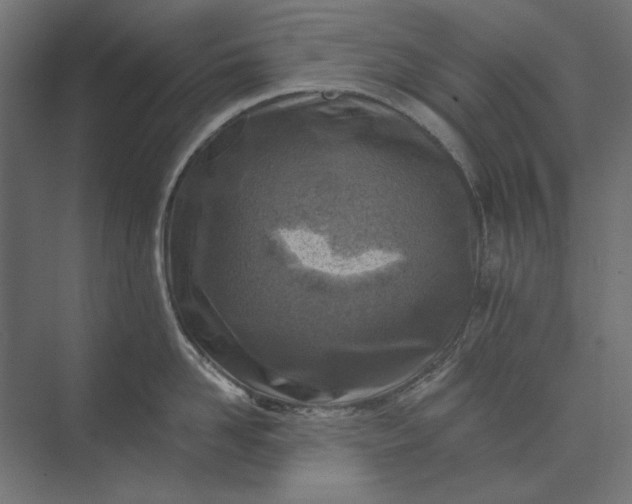 X0000074040958200609061204