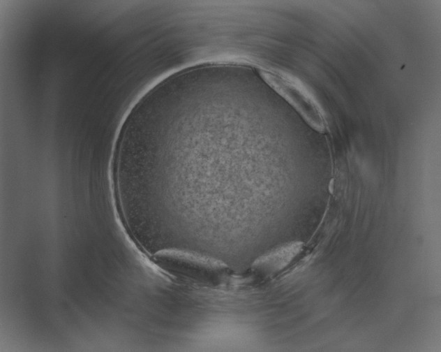 X0000074040959200609061204