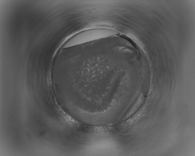 X0000074040960200609061204