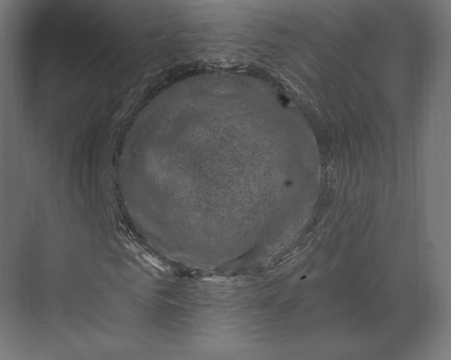 X0000074040961200609061203