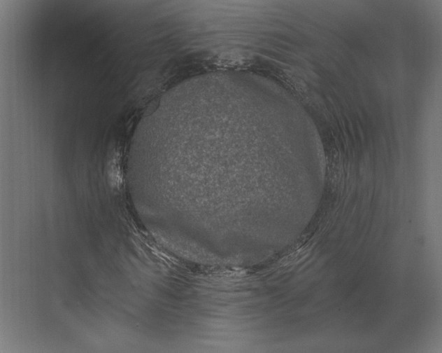 X0000074040962200609061203