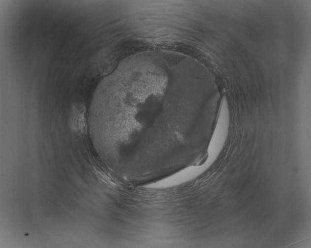 X0000074040963200609061203