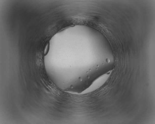 X0000074040964200609061203