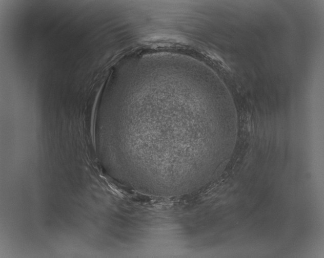 X0000074040965200609061203