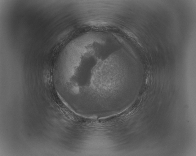 X0000074040966200609061203