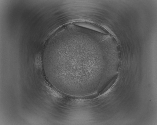 X0000074040969200609061203