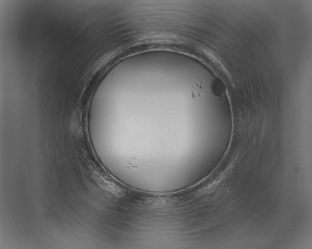 X0000074040970200609061203