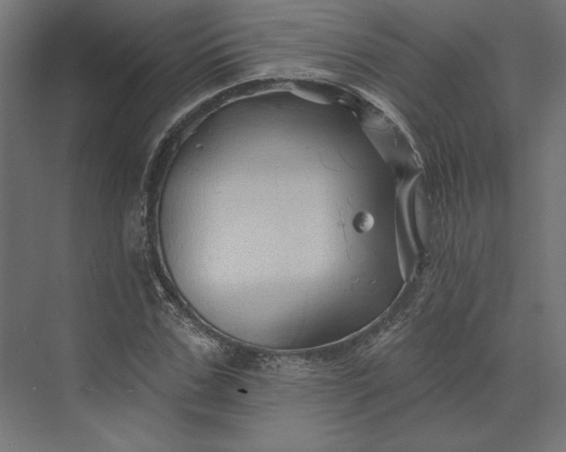 X0000074040971200609061203