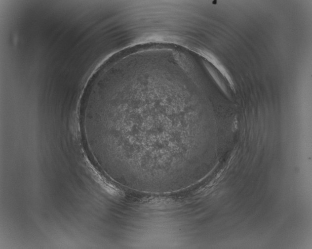 X0000074040972200609061203