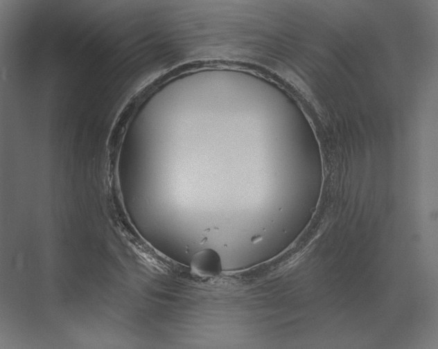 X0000074040974200609061203