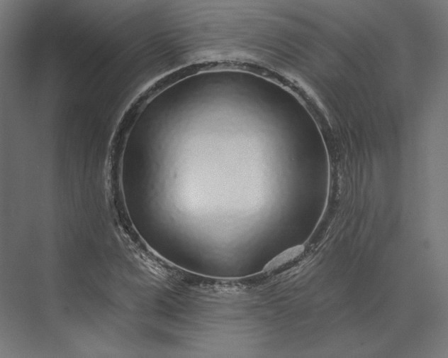 X0000074040975200609061203