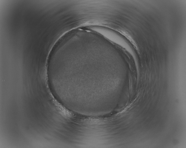 X0000074040976200609061203