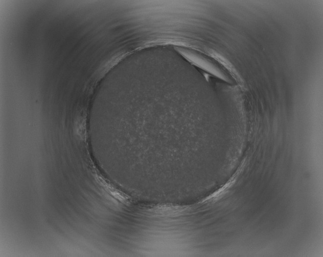 X0000074040977200609061203