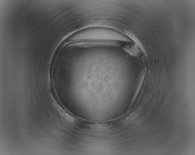 X0000074040980200609061203