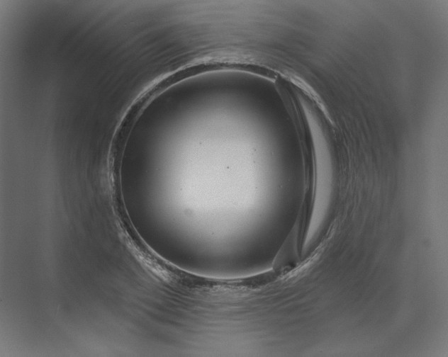 X0000074040981200609061203