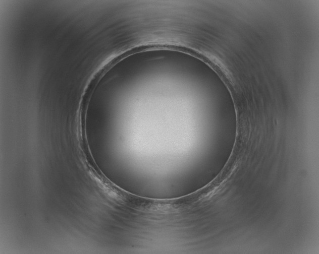 X0000074040982200609061203