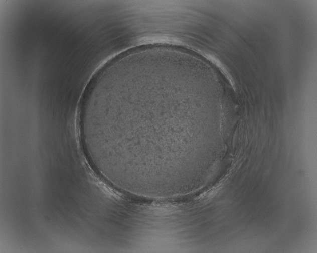 X0000074040983200609061203