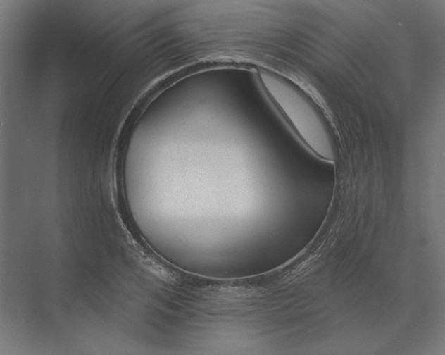 X0000074040984200609061203