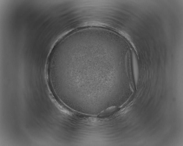 X0000074040987200609061203