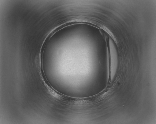 X0000074040988200609061203