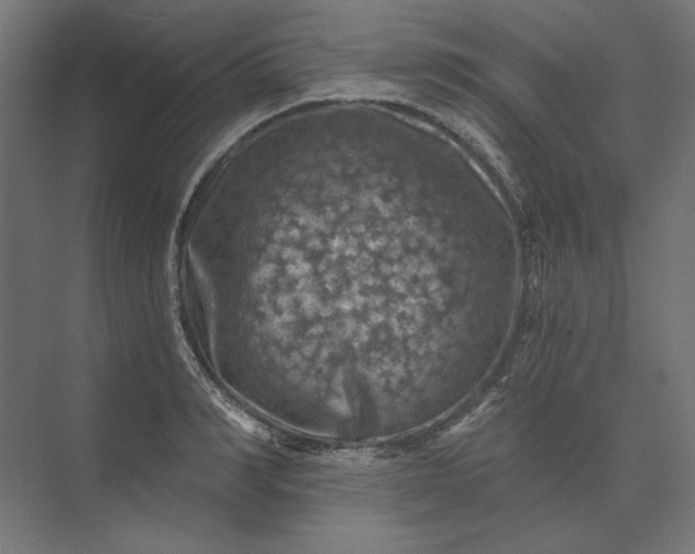 X0000074040990200609061203