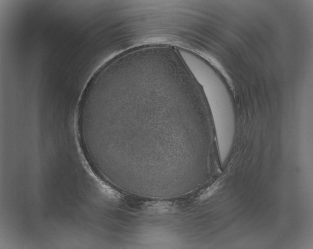 X0000074040991200609061203