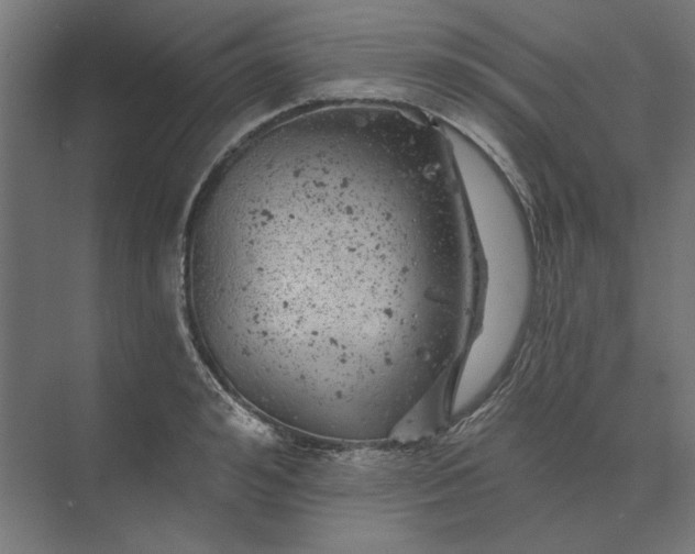 X0000074040992200609061203