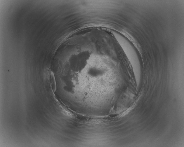 X0000074040993200609061203