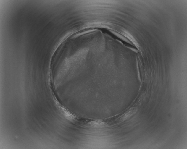 X0000074040994200609061203