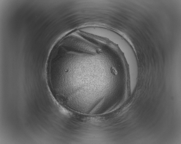 X0000074040995200609061203