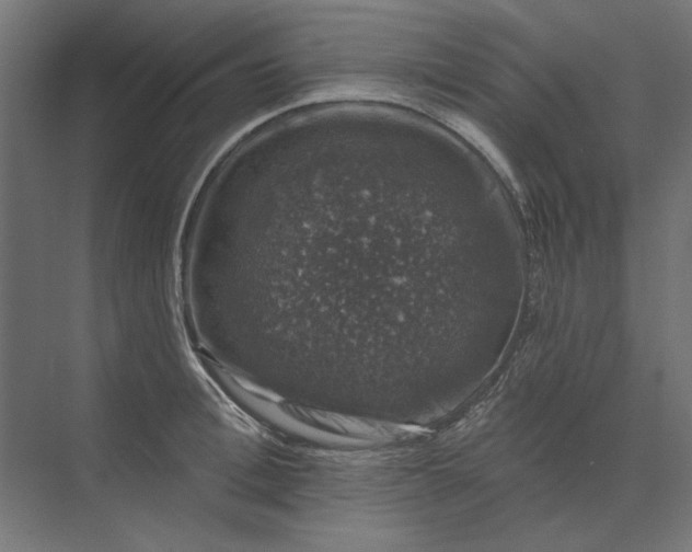 X0000074040996200609061203